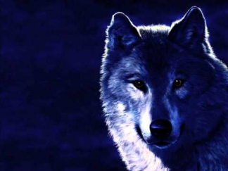 Блатной Удар - Одинокий волк