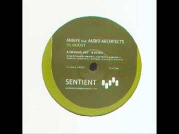 Anigye Feat Audio Architects - NL Boost (Remix)