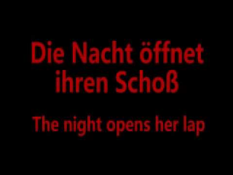 Stirb Nicht Vor Mir (Don't Die Before I Do) - Rammstein Lyrics and English Translation
