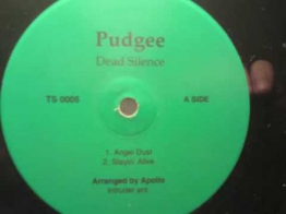 Pudgee angel dust