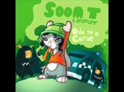 Soom T & disrupt - Puff The Police