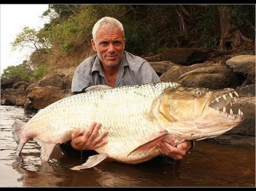 Самая большая рыба! Вот такая большая рыба водится в реках.