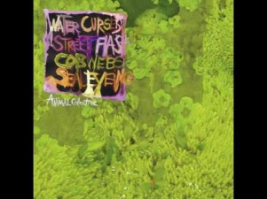 Street Flash by Animal Collective