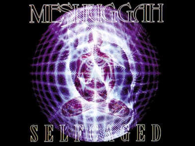 Meshuggah- Suffer in Truth (Demo Version)