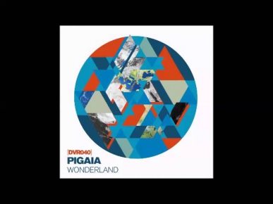 PiGaia - Wonderland (Irregular Disco Workers Remix)