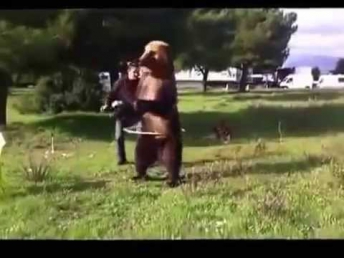 Медведь дует в дудку, танцует и кувыркается (Bear blowing whistle)