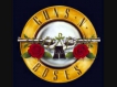 Guns N' Roses-One In A Million w/Lyrics