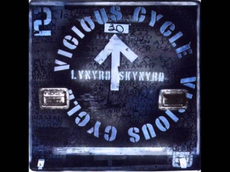 Lynyrd Skynyrd - Life's Lessons.wmv