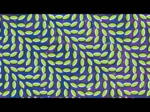 Animal Collective- Summertime Clothes