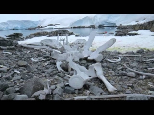 Antarctica Journal 2014 Video