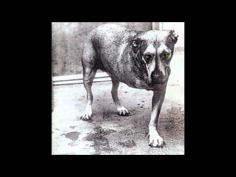 Alice In Chains - Shame In You
