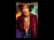 Jimi Hendrix - Night Bird Flying
