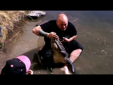 'Snap Happy' 8ft Alligator Latches Onto Wrangler's Hand