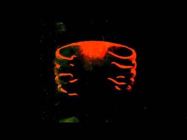 Undertow by Tool (1993) Full Album