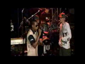 Linkin Park feat Jay-Z - Big Pimpin/Papercut
