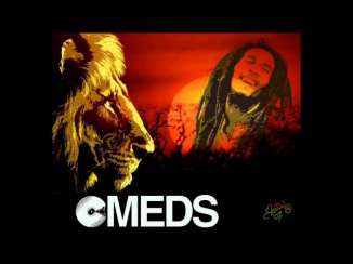 Bob Marley - Is this love - Lojik Remix (Mt. Eden Edit)