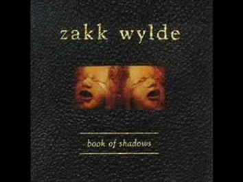ZAKK WYLDE - Between Heaven And Hell