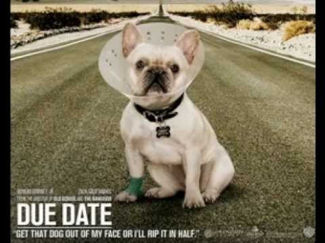 Due Date (2010) - 'Old Man'