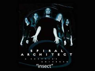 Spiral Architect - Insect