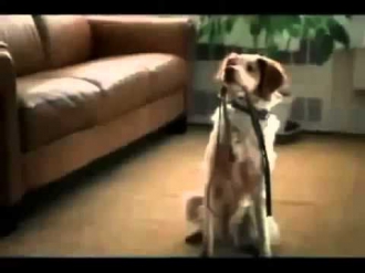 Funny Clips   Funny Commercials   Funny Ads, Funny Commercial New 2014, Funny Banned Commercials
