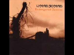 Lynyrd Skynyrd - Good Luck, Bad Luck.wmv