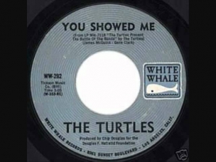 THE TURTLES- 
