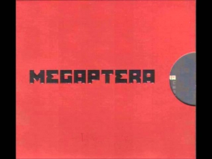 MEGAPTERA - Metal Process in Work