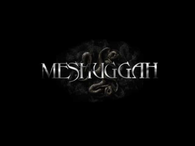 Meshuggah - Combustion (Lyrics Video)