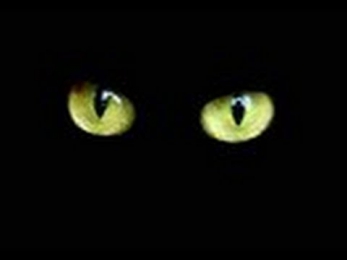 Жил да был черный кот за углом. Once upon a black cat around the corner